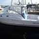 yacht auctions australia